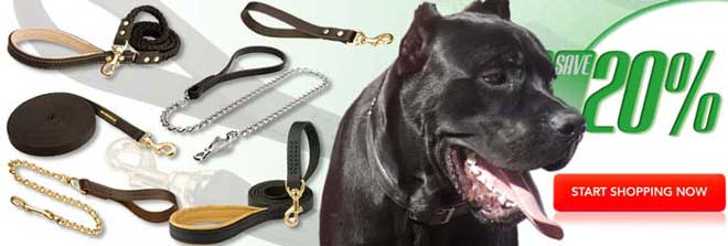 Buy Today High Quality Exclusive Cane Corso Dog Leash