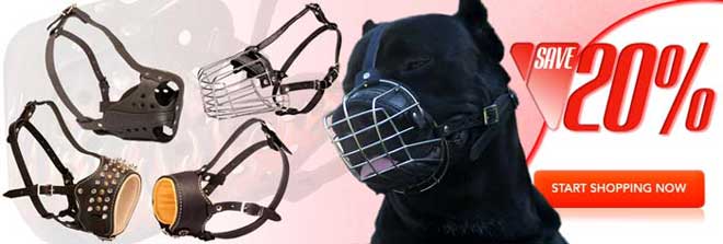 Buy Today High Quality Exclusive Cane Corso Muzzle