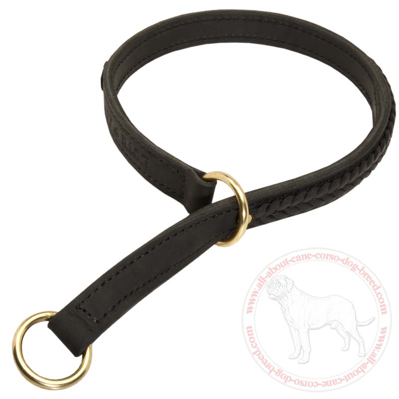 Buy Choke Leather Cane Corso Collar | Braided | Walking ...