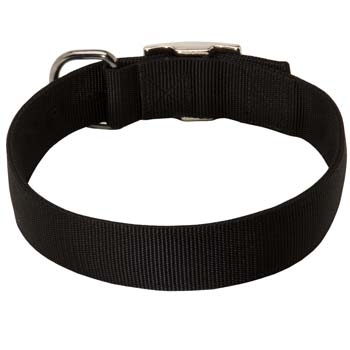 All Weather 2 ply nylon collar for Cane Corso
