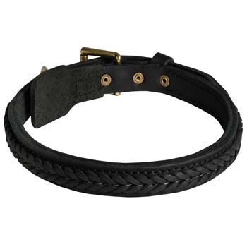 Cane Corso leather dog collar with leather braid  decoration