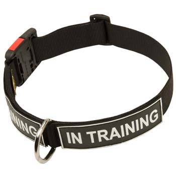 Demandable nylon dog collar for large strong dogs