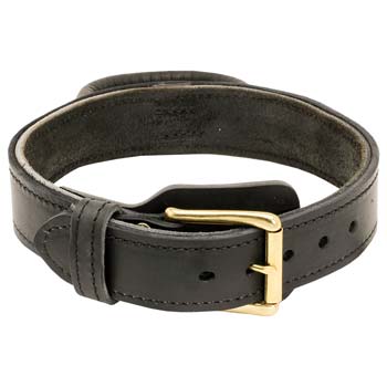 Cane Corso Collar Leather with Adjustable Brass Buckle
