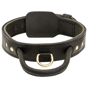 Quick Grab Cane Corso Collar with Durable Leather Handle