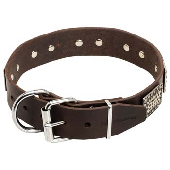 Cane Corso Leather Collar with Easily Adjustable Nickel Buckle