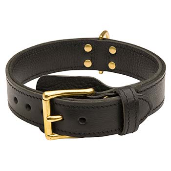 Cane Corso Dog Collar Leather with No Handle