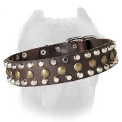 Gorgeous Cane Corso collar with pyramids and spheres