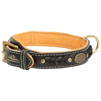 Cane Corso leather dog collar with easy-to-attach D-ring