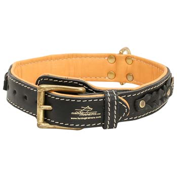 Cane Corso leather dog collar with massive brass  buckle