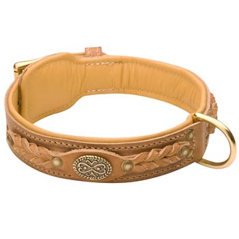 Cane Corso leather dog collar with padding brown