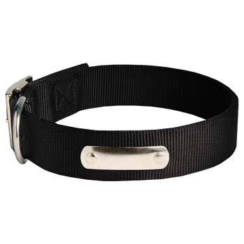 Cane Corso nylon dog collar with name tag
