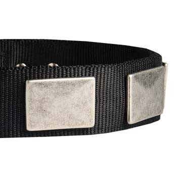 Cane Corso nylon dog collar with vintage nickel plates