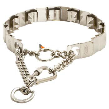 Stainless Steel Neck Tech Prong Collar