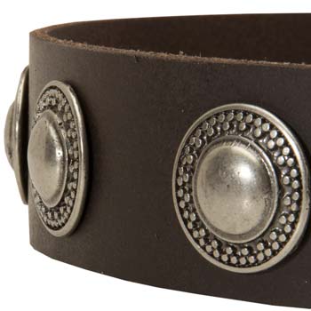 Sophisticated conchos handset in leather strap