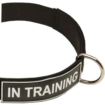Nylon dog collar with removable patches