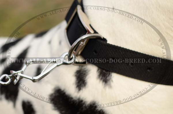 Handmade Nylon Dog Collar For Regular Use