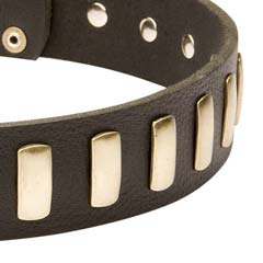 Decorated with plates leather collar