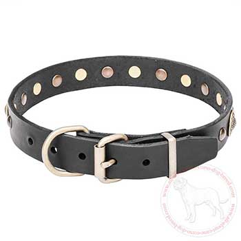Leather dog collar for Cane Corso with brass fittings
