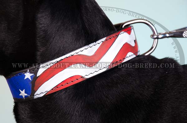 Large breed dogs leather collar with painting