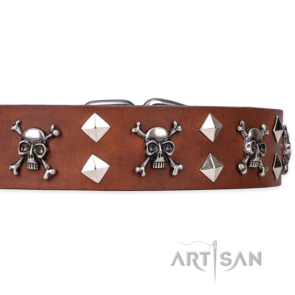 Everyday leather dog collar with stunning adornments