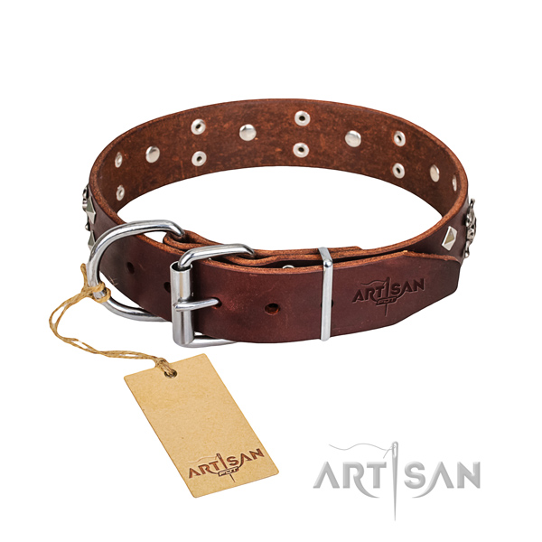 Resistant leather dog collar with riveted fittings