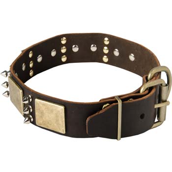 Leather dog collar with vintage adornment for Mastino  Napoletano