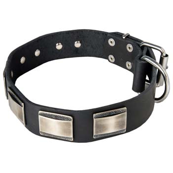 Handworked canine collar for Mastino Napoletano with  decoration
