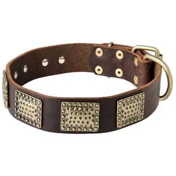 Hand crafted leather Mastino Napoletano collar for  walking