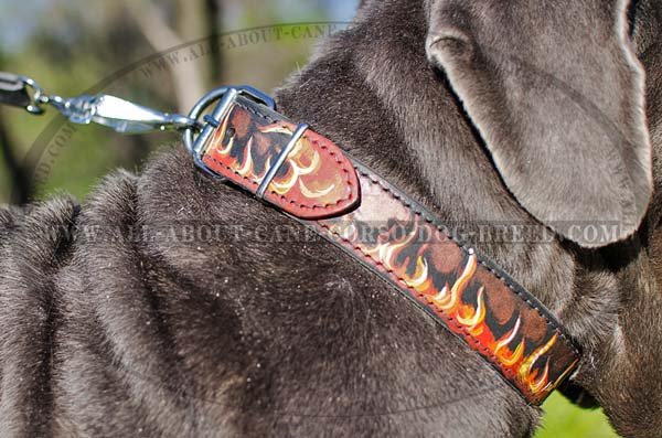 Mastino leather collar for walking and training