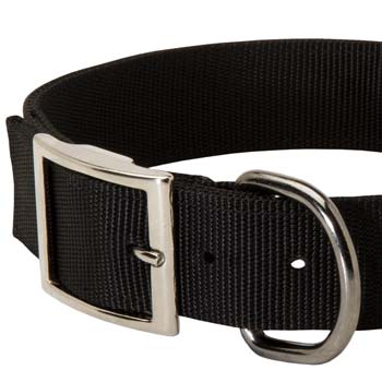 Quality nylon dog collar