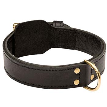 Superior leather dog collar for work and walk