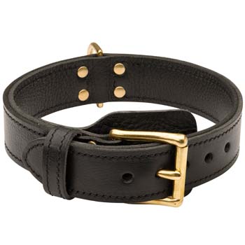 Most demandable leather dog collar