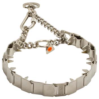 Cane Corso Stainless Steel Prong Collar for Obedience Training
