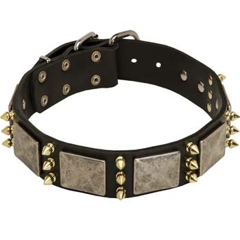 Vintage Cane Corso Spiked Dog Collar with Plates
