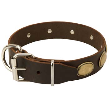 Oval brass plates Cane Corso leather fashion collar