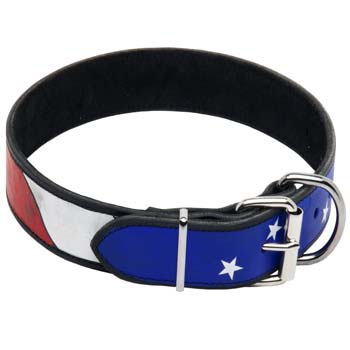 American pride painted leather collar