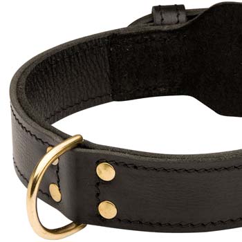 Handmade leather dog collar for various dog activities