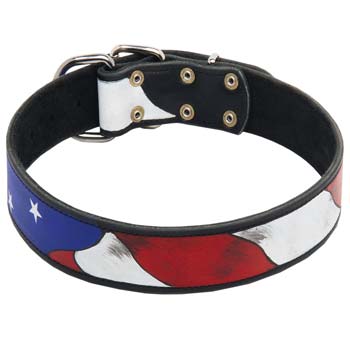 Stylish painted leather collar