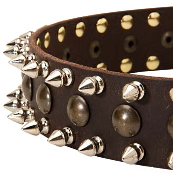 Decorated leather spiked collar for Cane Corso