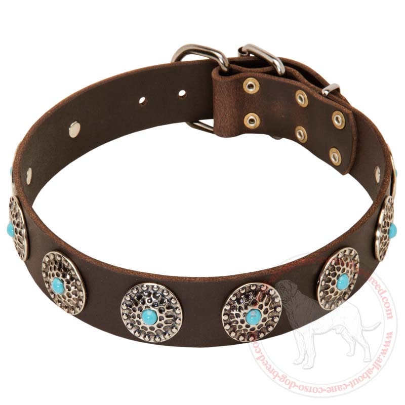 Buy Wide Leather Cane Corso Collar | Blue Stones | Walking