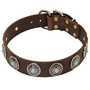 Blue stone inlay leather dog collar