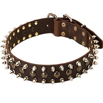 Stylish Cane Corso leather spiked collar