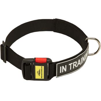 Strong Nylon collar for working dogs