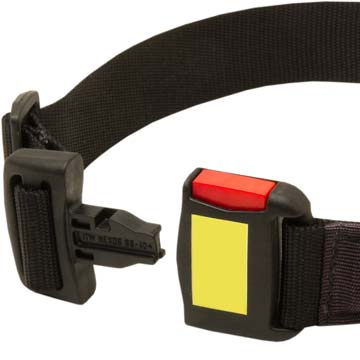 Training Nylon canine collar for Cane Corso with quick release buckle