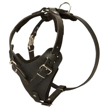 Superior leather dog harness for agitation work