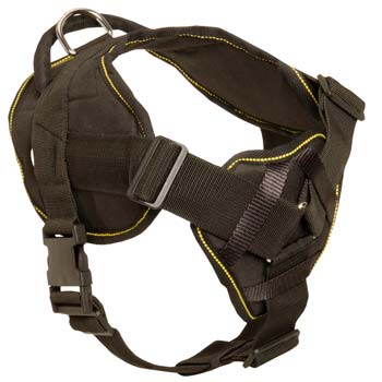 Cane Corso nylon dog harness for pulling