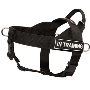 Easy to put-on and take-off nylon strongest harness