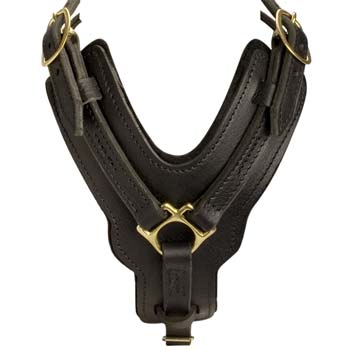 Y-shaped Cane Corso harness