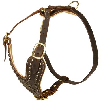 Cane Corso leather harness with brooch decoration