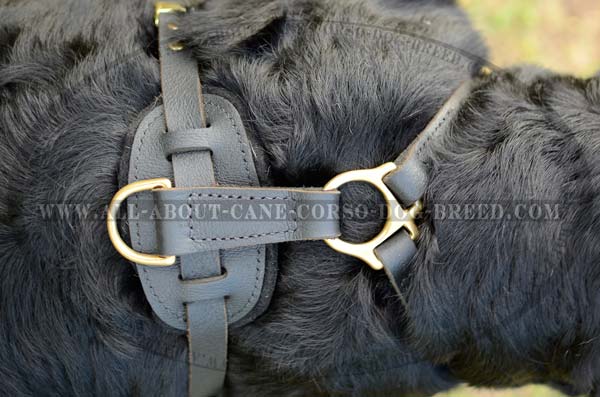 Designer Leather Dog Harness For Big and Strong Dogs